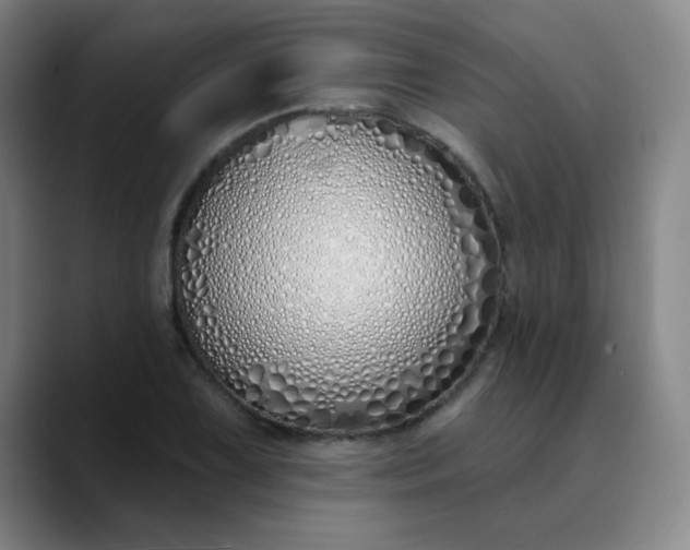 X0000089901075200707121845
