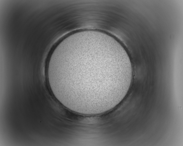 X0000089901078200707121845