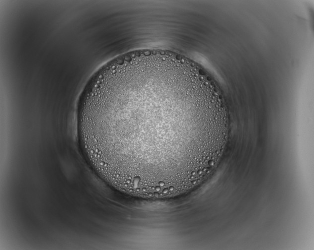 X0000089901079200707121845
