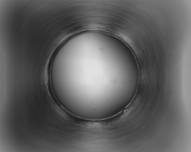 X0000089901082200707121845