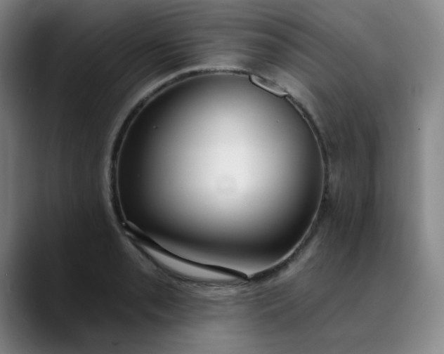 X0000089901085200707121845