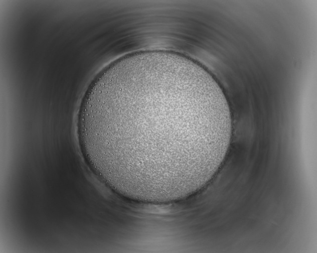 X0000089901086200707121845