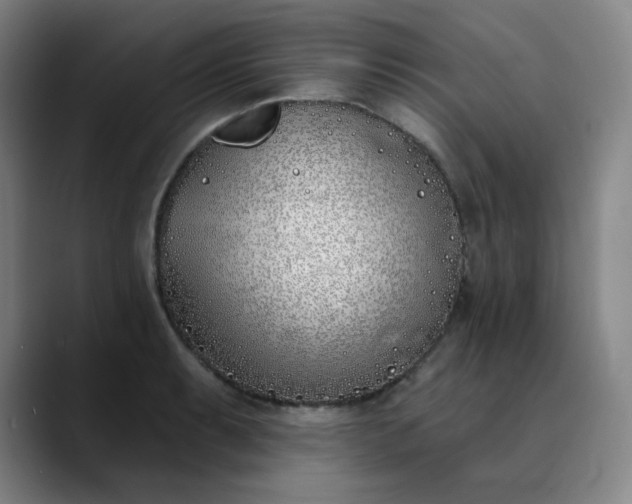 X0000089901087200707121845