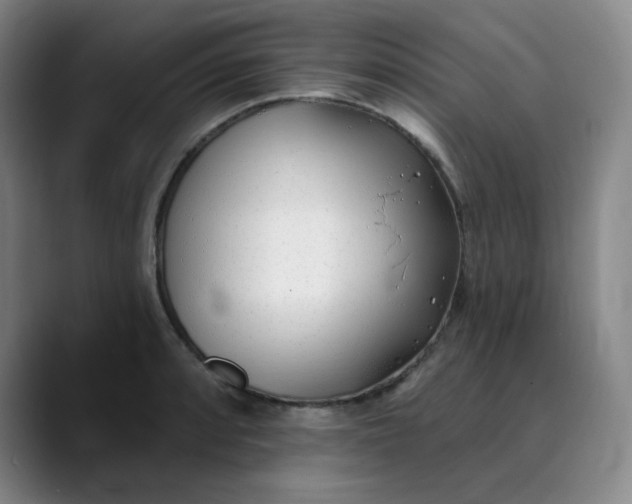 X0000089901088200707121845
