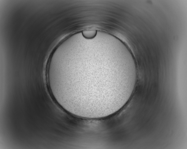 X0000089901090200707121845