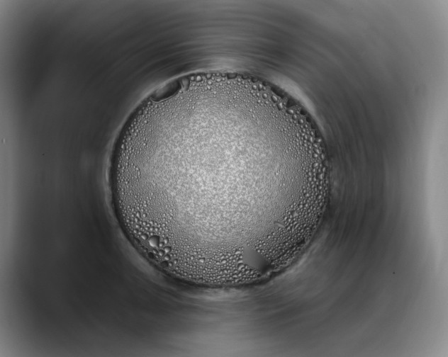X0000089901091200707121845