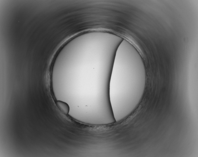 X0000089901092200707121845