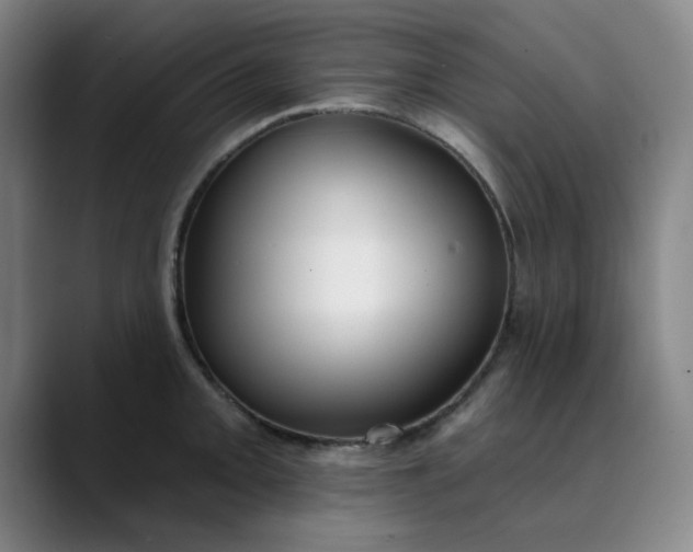 X0000089901093200707121845