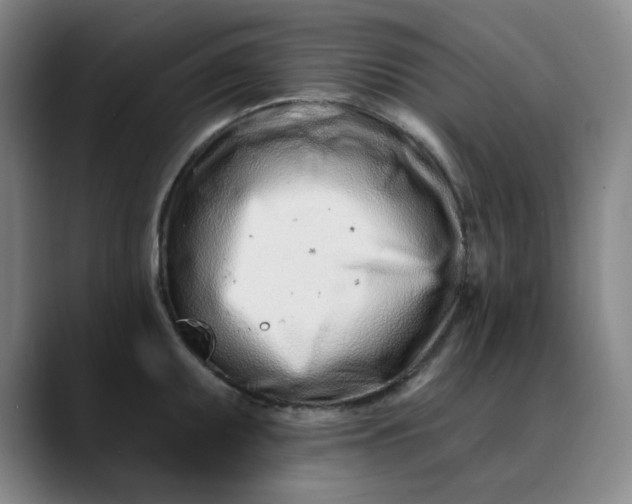 X0000089901095200707121845