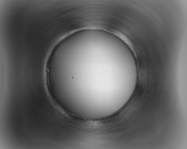 X0000089901096200707121845