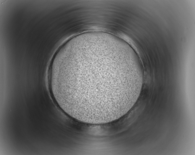 X0000089901098200707121845