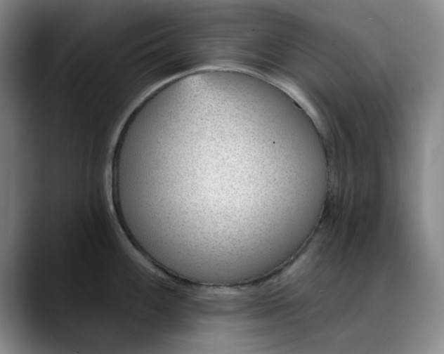 X0000089901100200707121845
