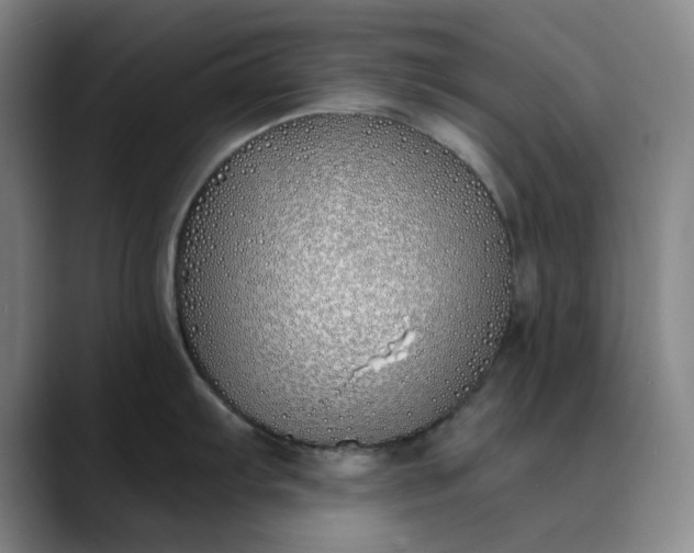X0000089901103200707121845