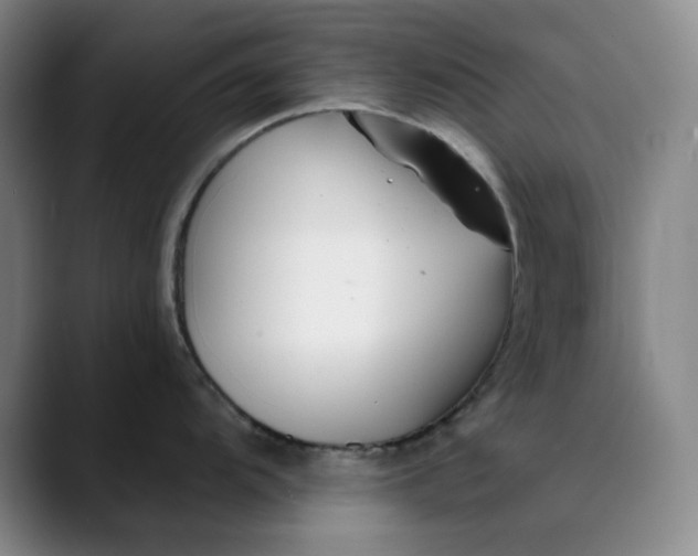 X0000089901104200707121845
