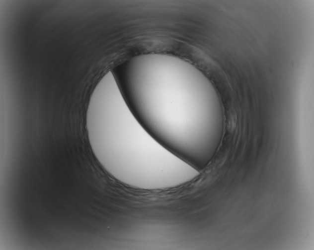 X0000089901108200707121844