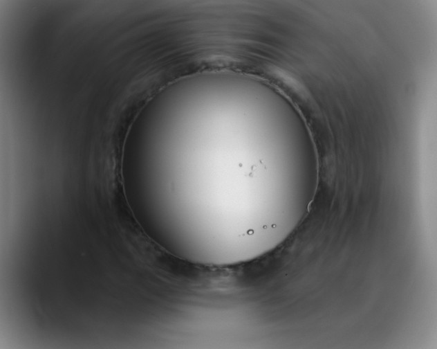 X0000089901111200707121844