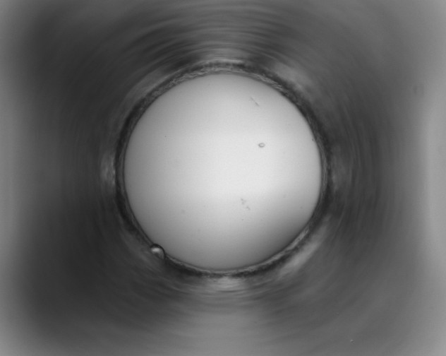 X0000089901113200707121844