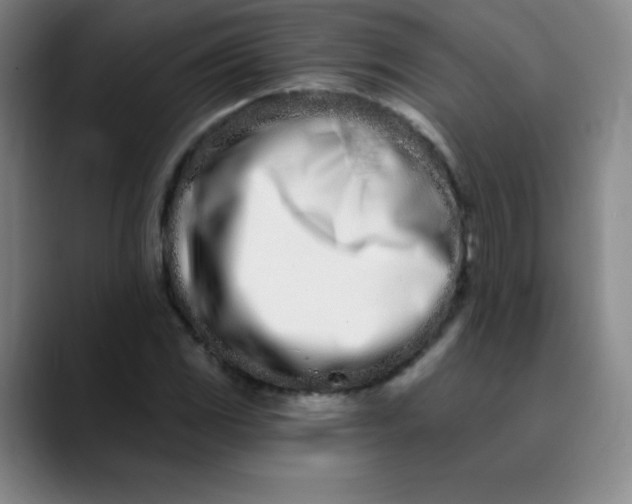 X0000089901117200707121844