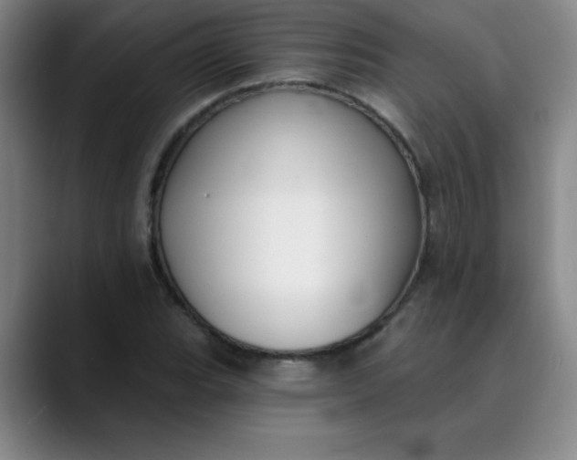 X0000089901119200707121844