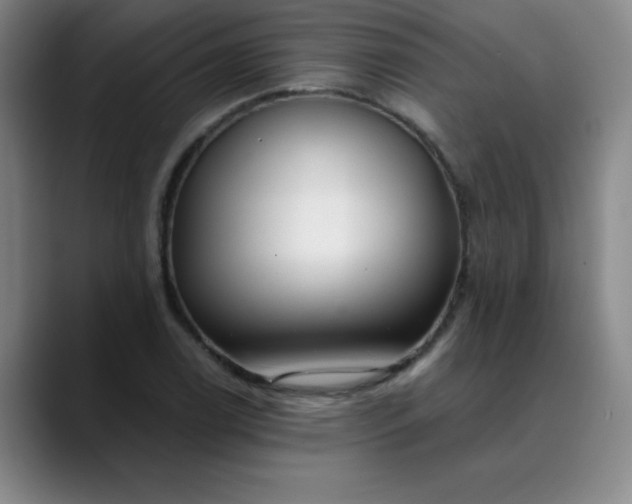 X0000089901122200707121844