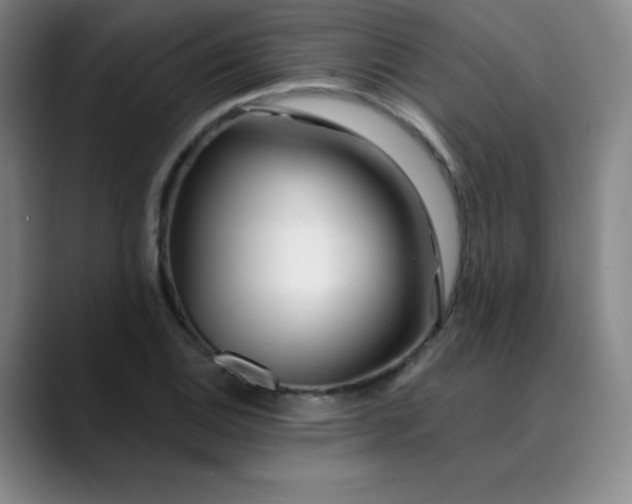 X0000089901124200707121844