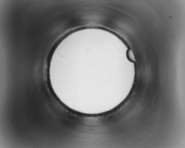 X0000089901126200707121844