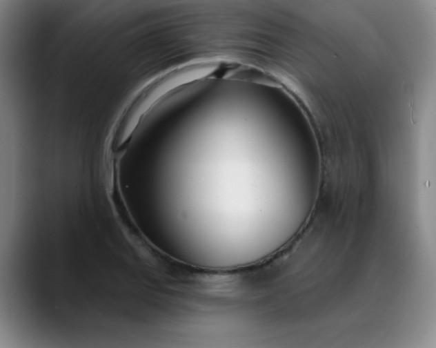 X0000089901127200707121844