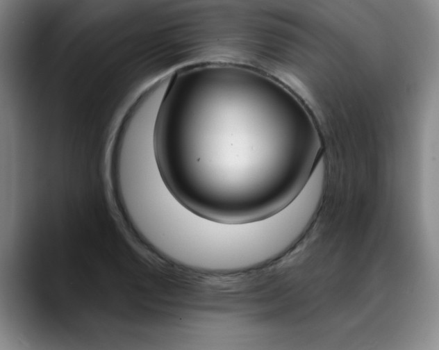 X0000089901128200707121844