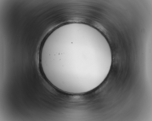 X0000089901130200707121844