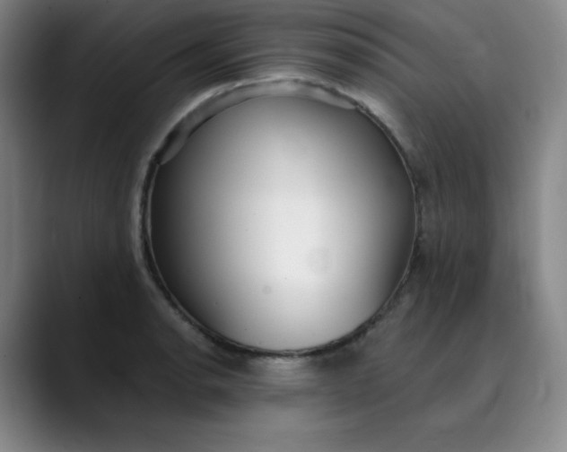 X0000089901134200707121845