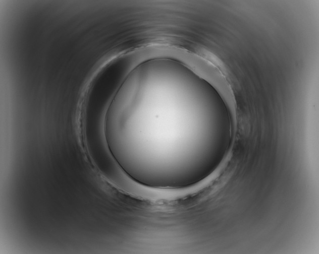 X0000089901138200707121845