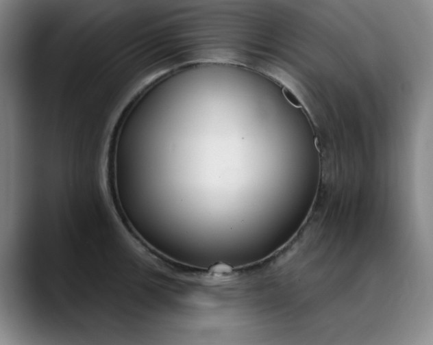 X0000089901139200707121845