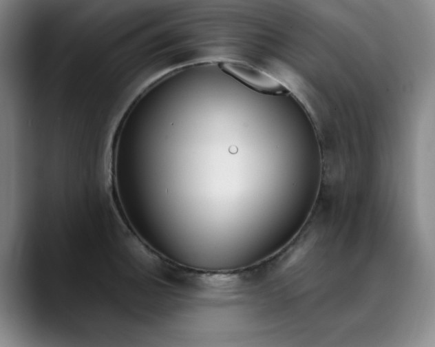 X0000089901140200707121845