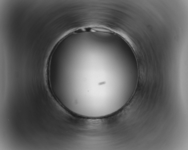 X0000089901142200707121845