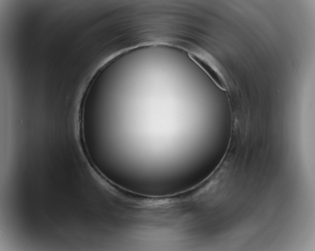 X0000089901143200707121845