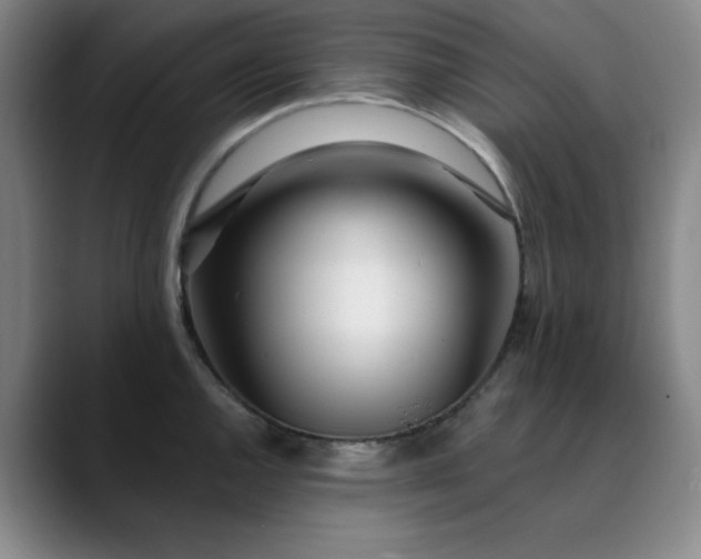X0000089901144200707121845