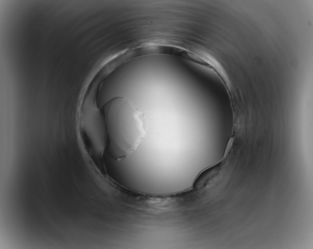 X0000089901146200707121845