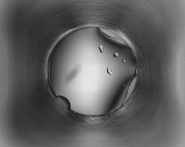 X0000089901148200707121845