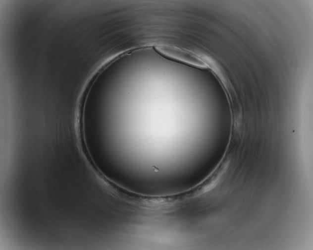 X0000089901149200707121845