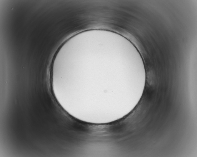 X0000089901150200707121845
