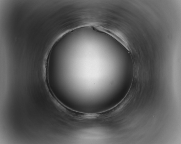 X0000089901151200707121845