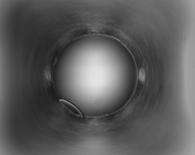 X0000089901155200707121844