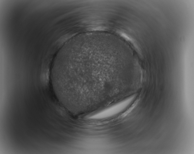X0000089901161200707121844