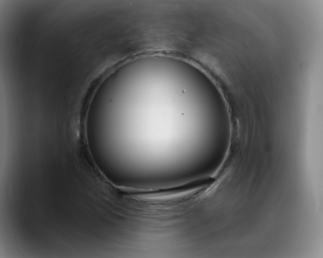 X0000089901165200707121844