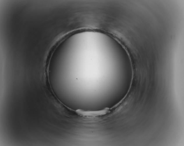 X0000089901168200707121844
