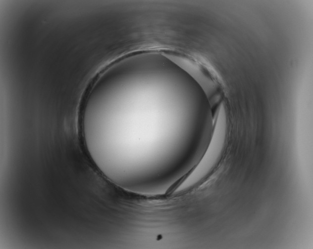 X0000089901173200707121844