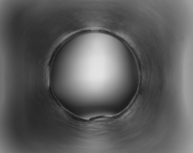 X0000089901175200707121844