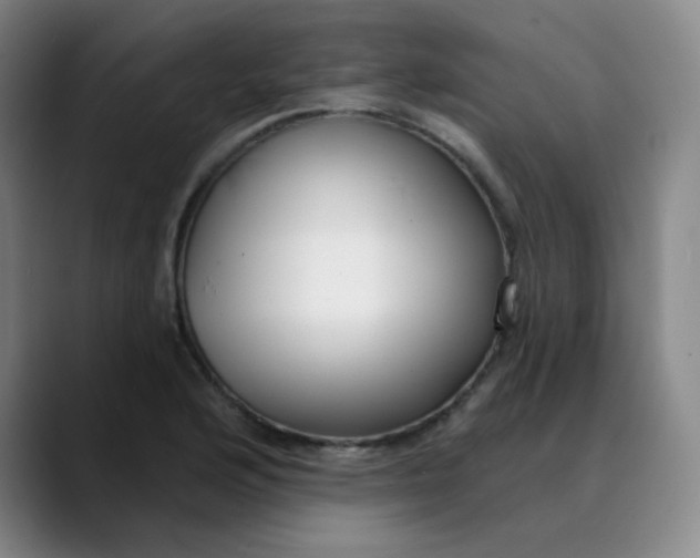 X0000089901176200707121844