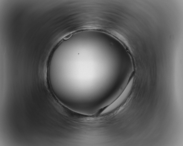 X0000089901179200707121844
