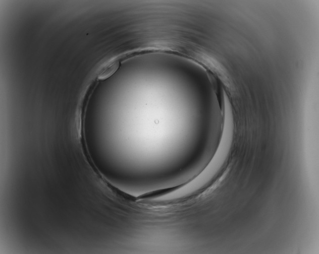 X0000089901180200707121844